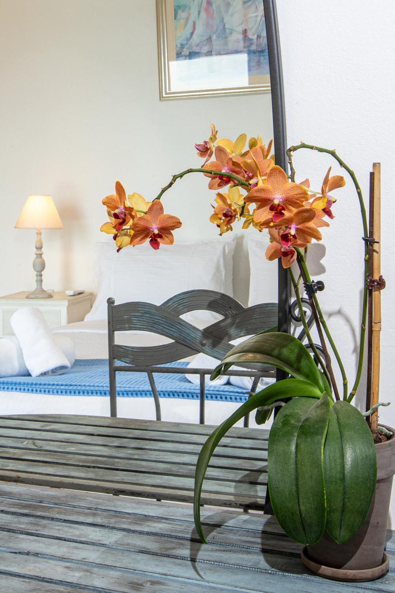 Dimitra Apartment With Private Pool And Sea View -The Ground Floor Of A Two Storey Building Daratsos Extérieur photo